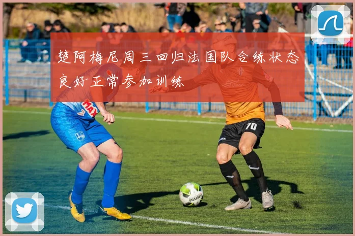 楚阿梅尼周三回归法国队合练状态良好正常参加训练