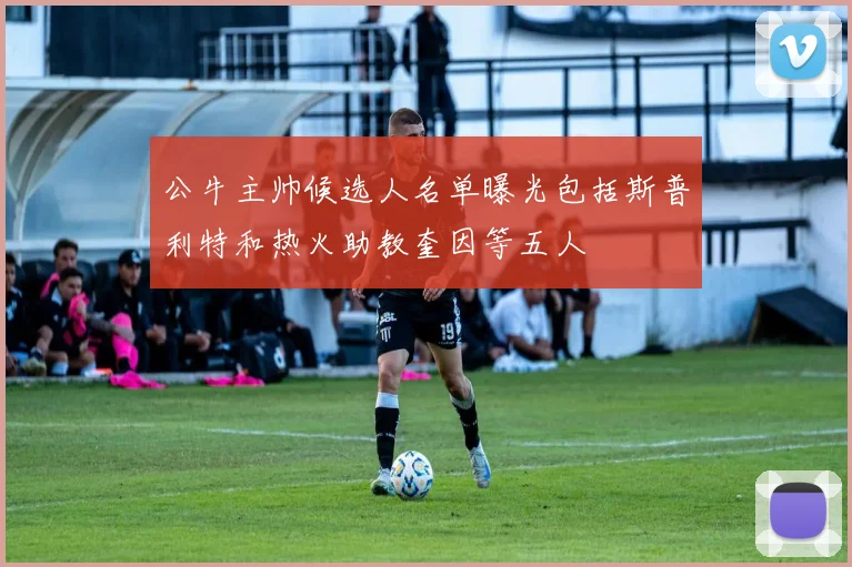 公牛主帅候选人名单曝光包括斯普利特和热火助教奎因等五人